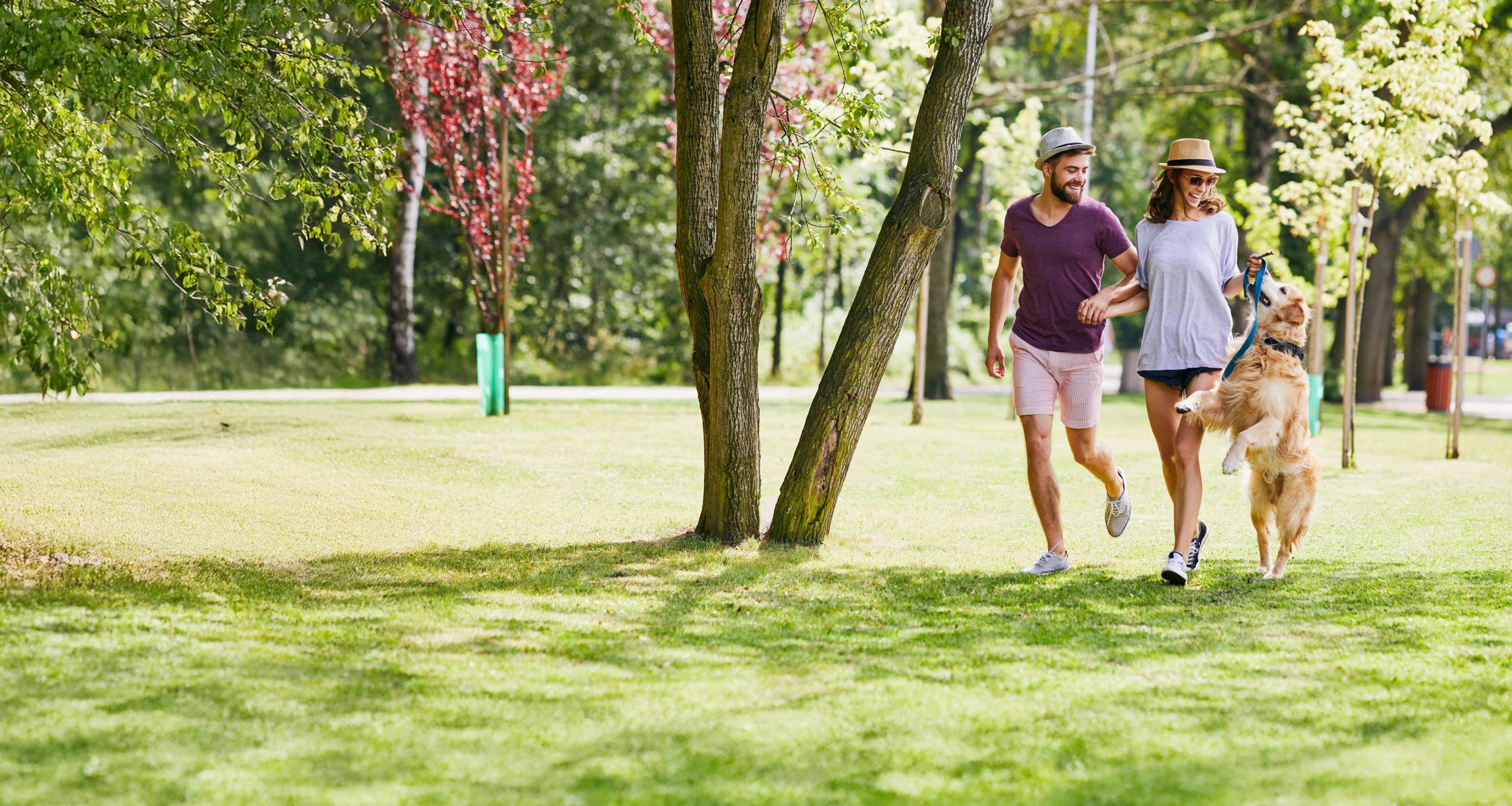 Ein Mann und eine Frau spazieren mit einem Hund im Park.